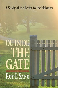 Cover image: Outside the Gate 9781426795411