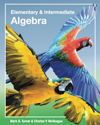 Cover image: Elementary & Intermediate Algebra 1st edition 9781630980658