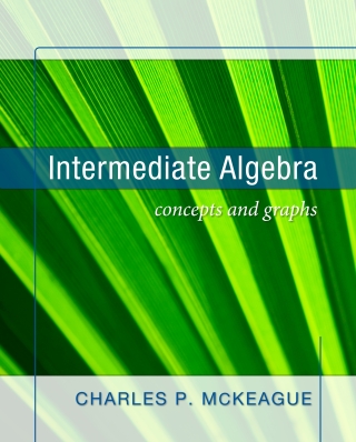 Cover image: Intermediate Algebra: Concept and Graphs 1st edition 9781936368952