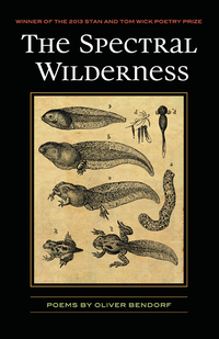 Cover image: The Spectral Wilderness