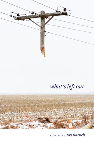 Cover image: What's Left Out 9781606352335