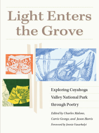 Cover image: Light Enters the Grove 9781631015557