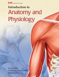 Cover image: Introduction to Anatomy and Physiology 1st edition 9781619604124