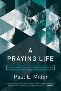 Cover image: A Praying Life 9781631466830