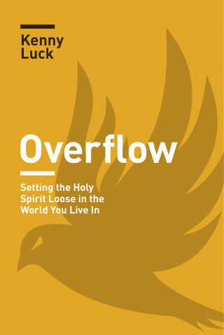Imagen de portada: Overflow 9781631468988