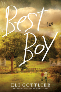 Titelbild: Best Boy: A Novel 9781631491924