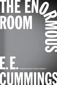 Omslagafbeelding: The Enormous Room (New Edition) 9780871409287