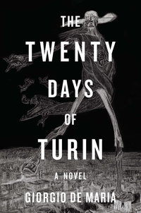 Titelbild: The Twenty Days of Turin: A Novel 9781631492297