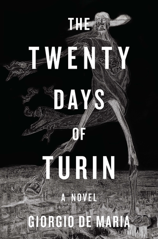 Cover image: The Twenty Days of Turin: A Novel 9781631492297