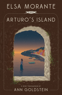 صورة الغلاف: Arturo's Island: A Novel 9781631496622