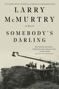 Immagine di copertina: Somebody's Darling: A Novel 9781631493454