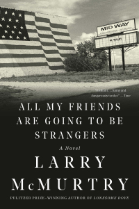 Omslagafbeelding: All My Friends Are Going to Be Strangers: A Novel 9781631493577