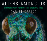 Omslagafbeelding: Aliens Among Us: Extraordinary Portraits of Ordinary Bugs 9781631494260