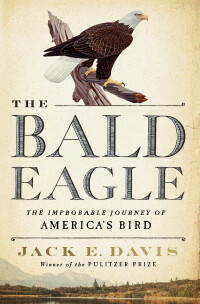 Titelbild: The Bald Eagle: The Improbable Journey of  America's Bird 9781324094104