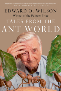 Imagen de portada: Tales from the Ant World 9781324091097