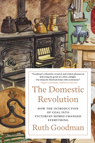 Imagen de portada: The Domestic Revolution 9781324091035