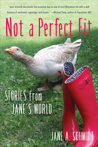 Cover image: Not a Perfect Fit 9781631522062