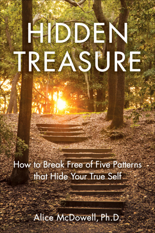 Titelbild: Hidden Treasure 9781631523045