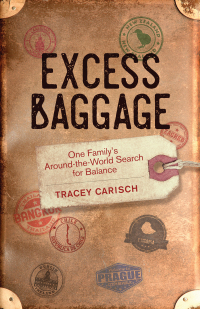 Imagen de portada: Excess Baggage 9781631524110