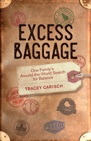 Imagen de portada: Excess Baggage 9781631524110