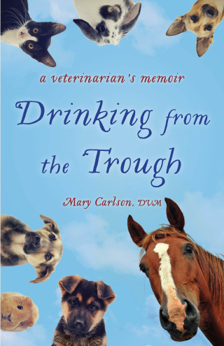 Imagen de portada: Drinking from the Trough 9781631524318