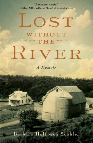 Imagen de portada: Lost Without the River 9781631525315