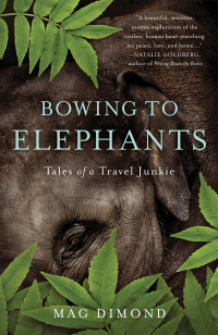 Cover image: Bowing to Elephants 9781631525964