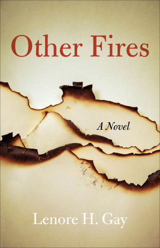 Cover image: Other Fires 9781631527739