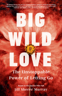 Cover image: Big Wild Love 9781631528521