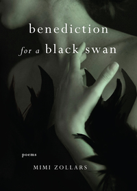 Titelbild: benediction for a black swan 9781631529504