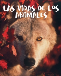Imagen de portada: Las vidas de los animales 9781600444531