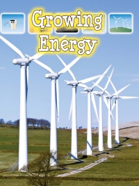 Cover image: Growing Energy 9781606947043
