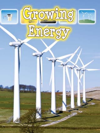 Titelbild: Growing Energy 9781606947043