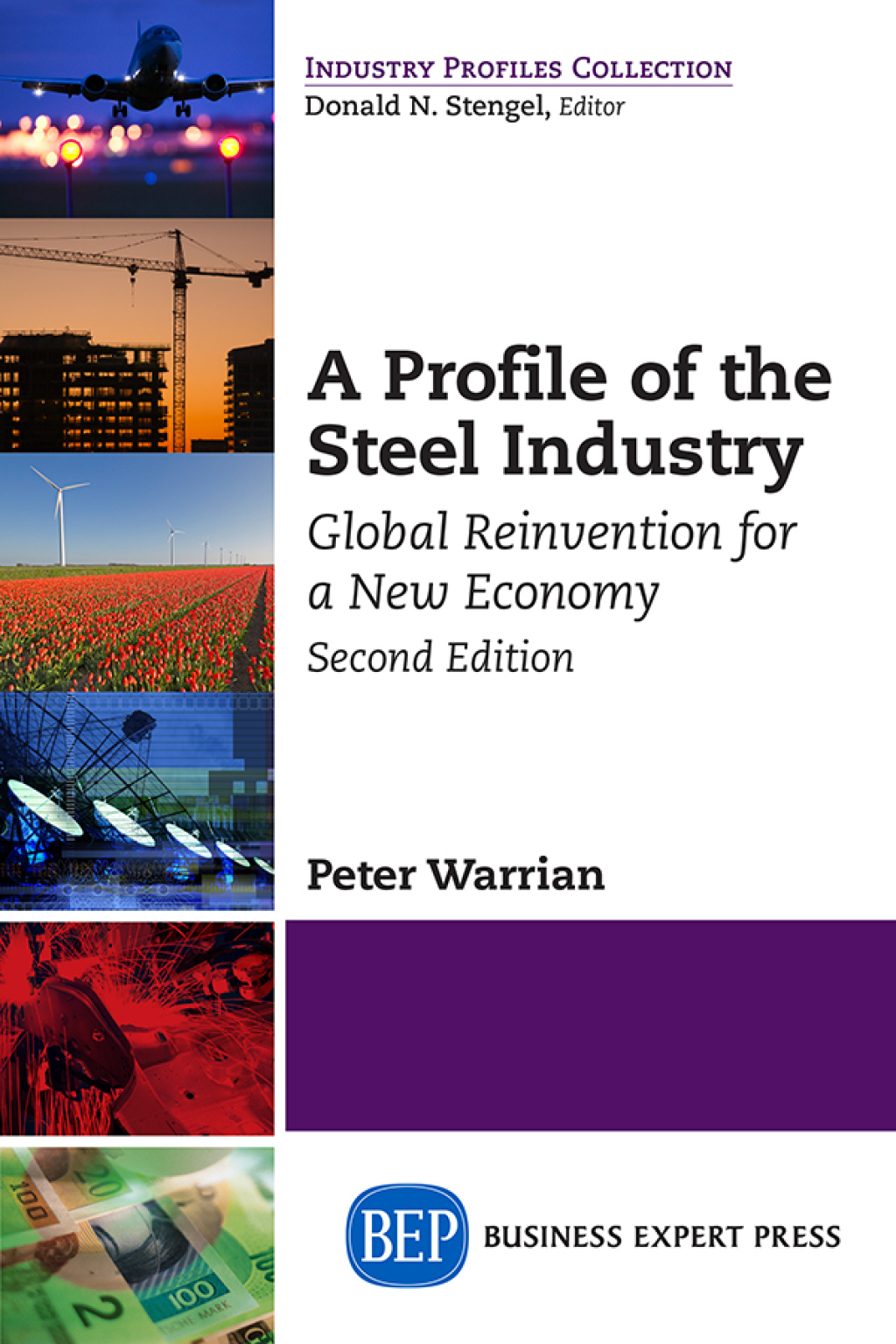 A Profile of the Steel Industry Global Reinvention for a New Economy 2nd Edition