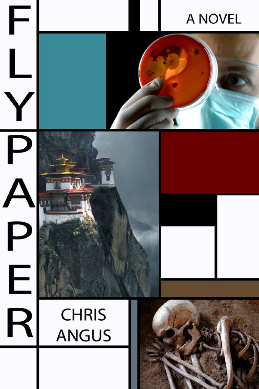 Flypaper eBook