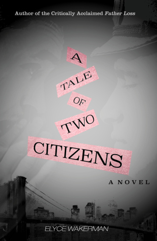 Cover image: A Tale of Two Citizens 9781631580147