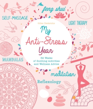 Cover image: My Anti-Stress Year 9781631581199