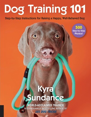 Titelbild: Dog Training 101 9781631593109