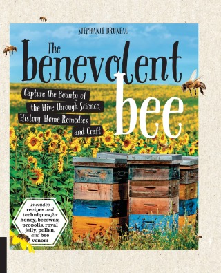 Imagen de portada: The Benevolent Bee 9781631592867