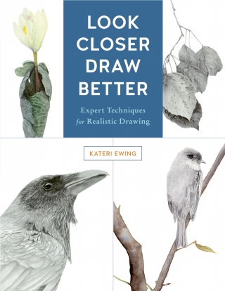 Cover image: Look Closer, Draw Better 9781631596223