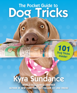 Cover image: The Pocket Guide to Dog Tricks 9781631595691