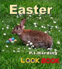 Omslagafbeelding: Easter