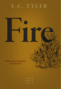 Cover image: Fire 9781631942914