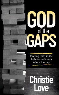 Cover image: God of the Gaps 9781631952463