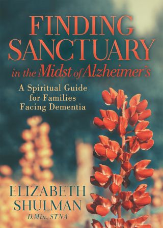 Cover image: Finding Sanctuary in the Midst of Alzheimer's 9781433561016