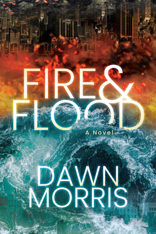 Immagine di copertina: Fire & Flood 9781631954740