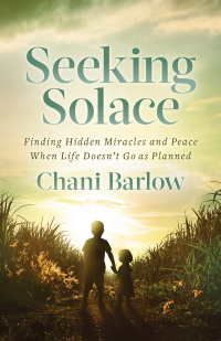 Cover image: Seeking Solace 9781631957963