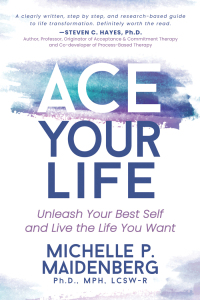 Cover image: ACE Your Life 9781631958540