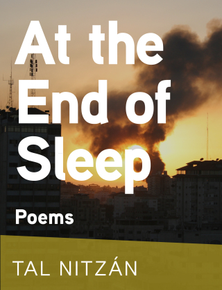 صورة الغلاف: At the End of Sleep