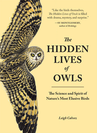 Cover image: The Hidden Lives of Owls 9781632170255